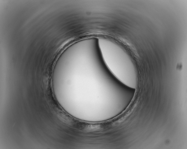 X0000102371313200808011014