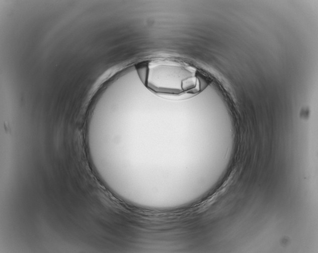 X0000102371314200808011014