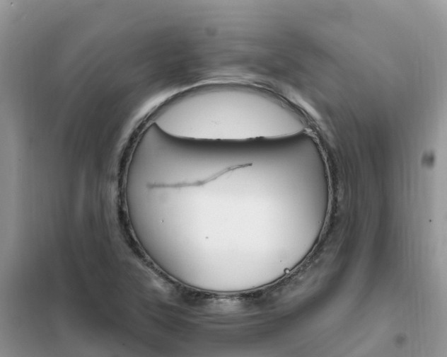 X0000102371315200808011014