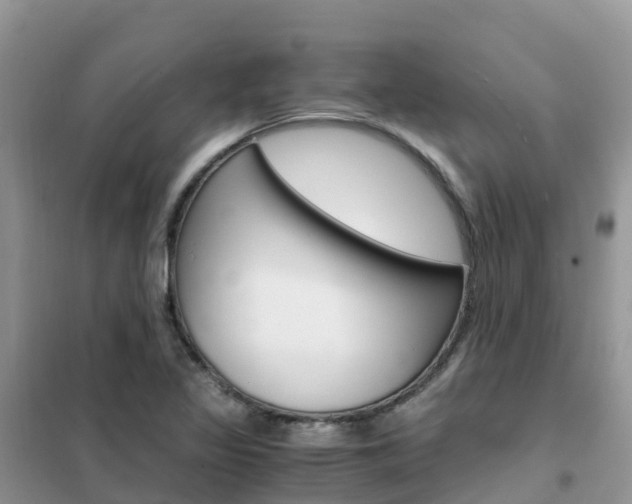 X0000102371317200808011014