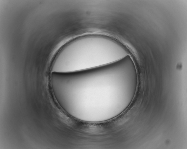 X0000102371318200808011014