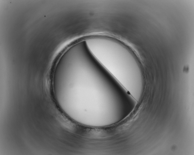 X0000102371319200808011014