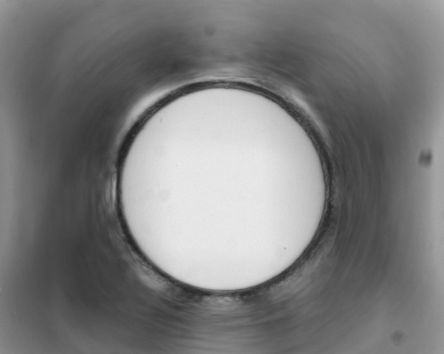 X0000102371320200808011014