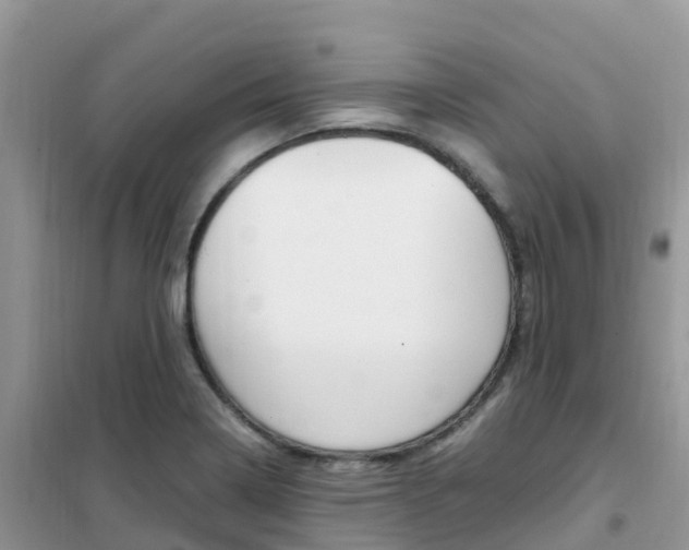 X0000102371322200808011014