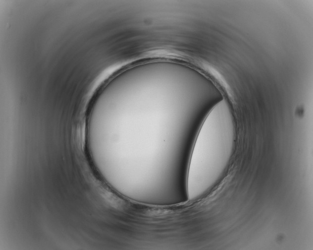 X0000102371323200808011014