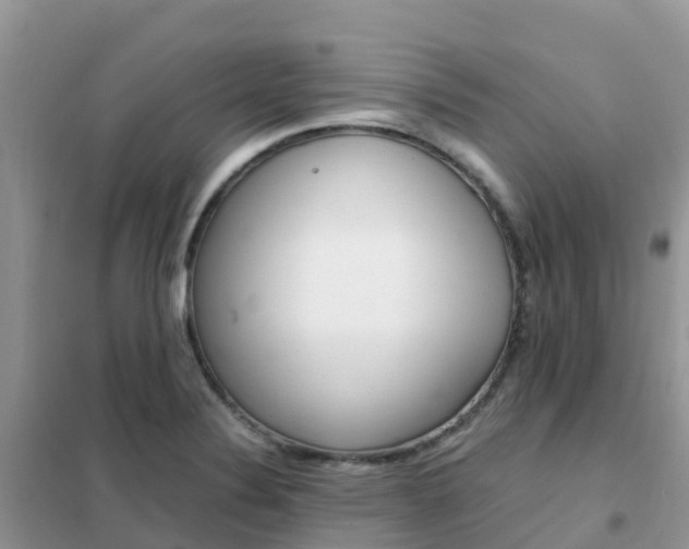 X0000102371324200808011014