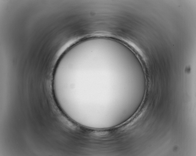 X0000102371325200808011014