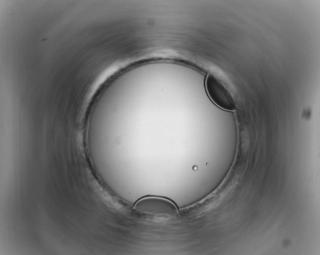 X0000102371326200808011014