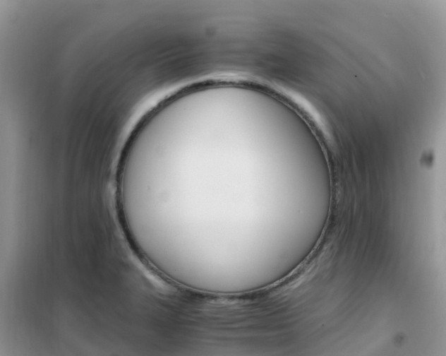X0000102371327200808011014