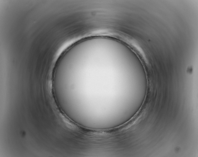 X0000102371328200808011014