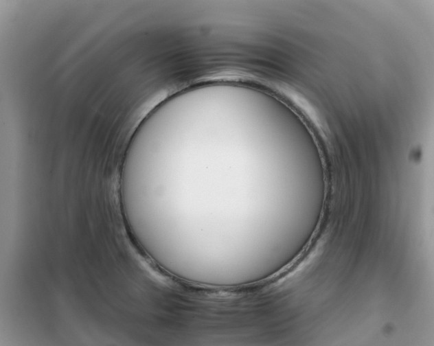 X0000102371329200808011015