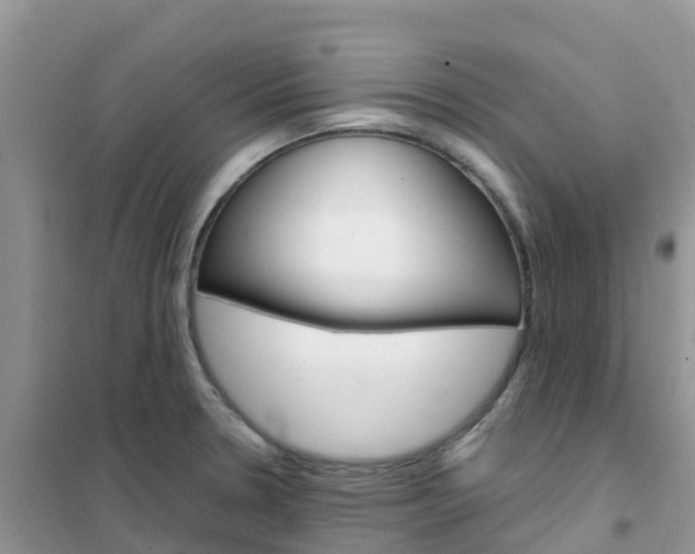 X0000102371330200808011015
