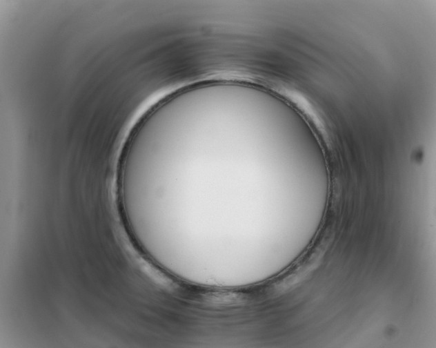 X0000102371331200808011015