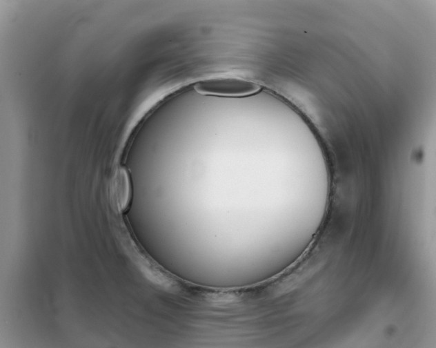 X0000102371332200808011015