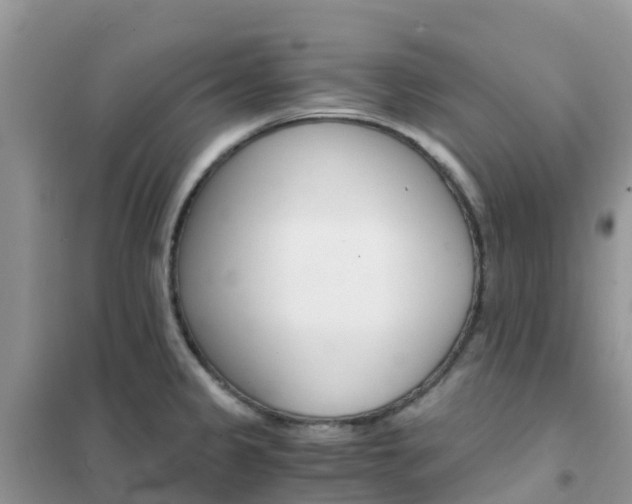 X0000102371333200808011015