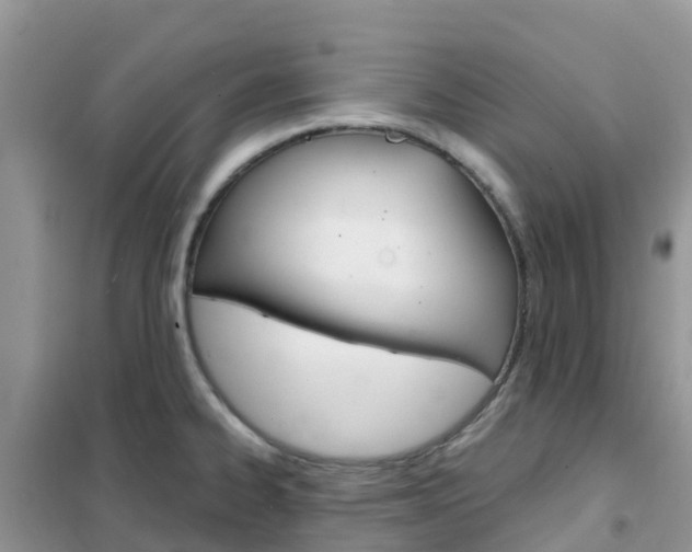 X0000102371334200808011015