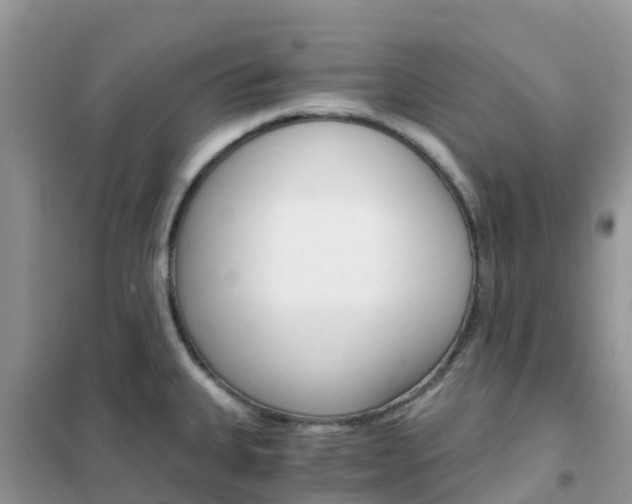 X0000102371335200808011015