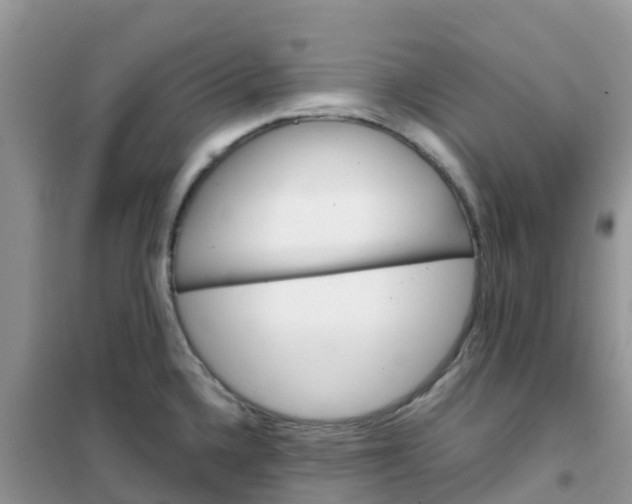 X0000102371336200808011015