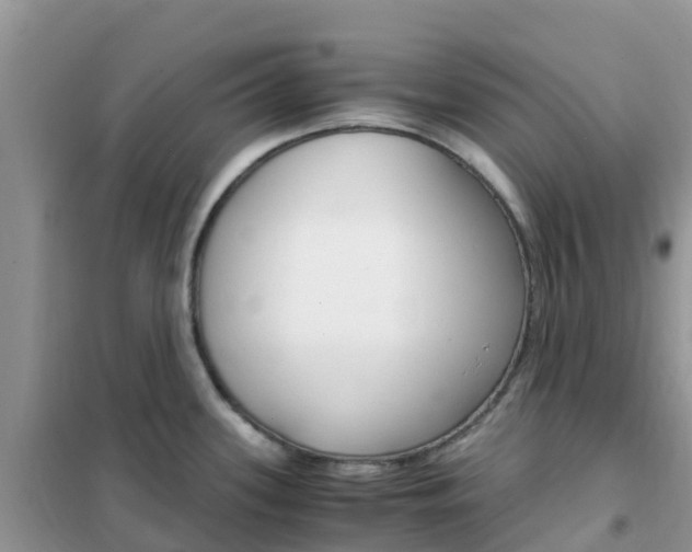 X0000102371339200808011015
