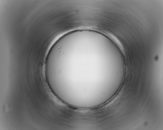X0000102371340200808011015