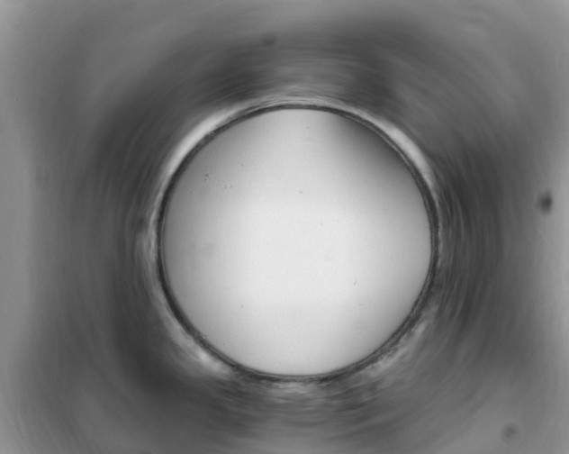 X0000102371341200808011015