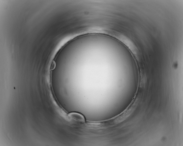 X0000102371342200808011015