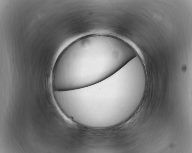 X0000102371343200808011015