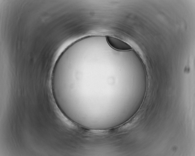 X0000102371344200808011015