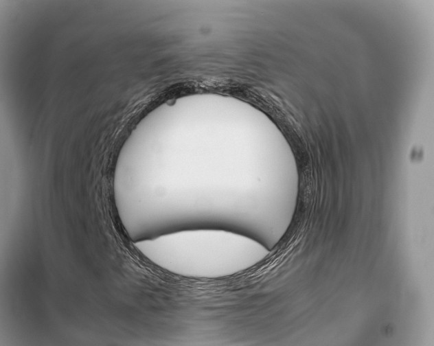 X0000102371345200808011014