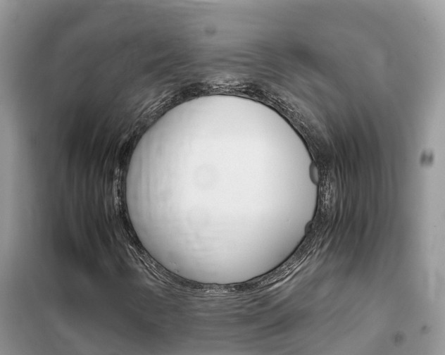 X0000102371346200808011014