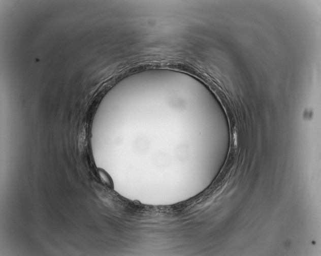 X0000102371347200808011014
