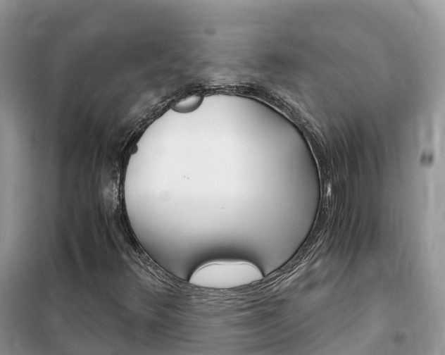 X0000102371348200808011014