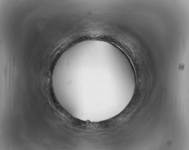 X0000102371349200808011014