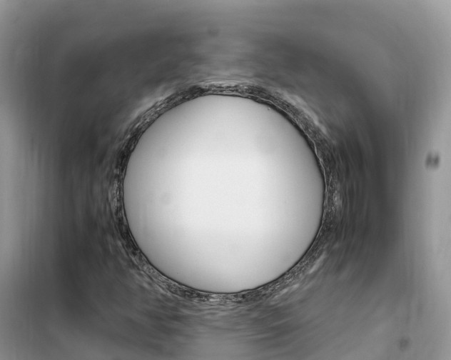 X0000102371350200808011014