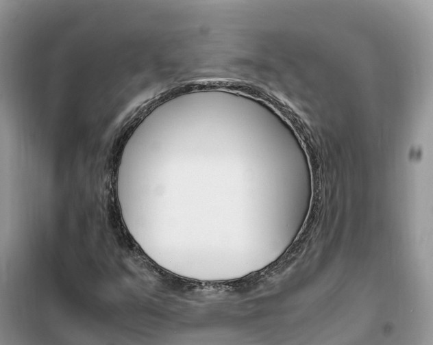 X0000102371351200808011014