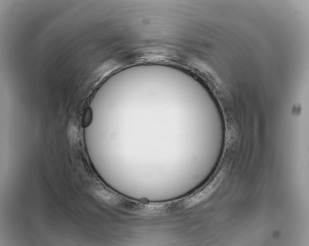 X0000102371353200808011014