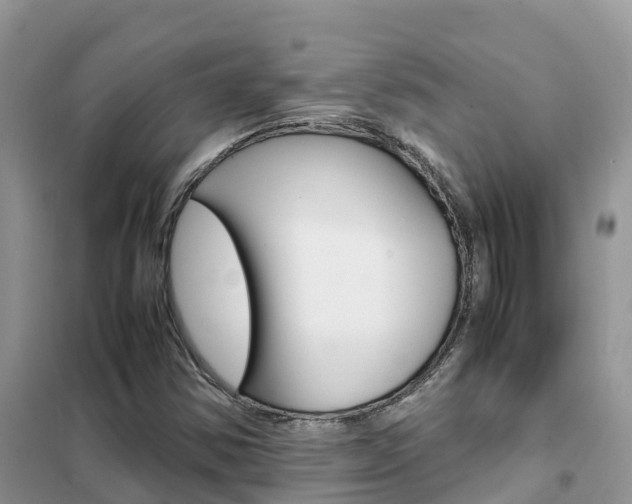 X0000102371354200808011014