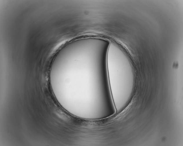 X0000102371355200808011014