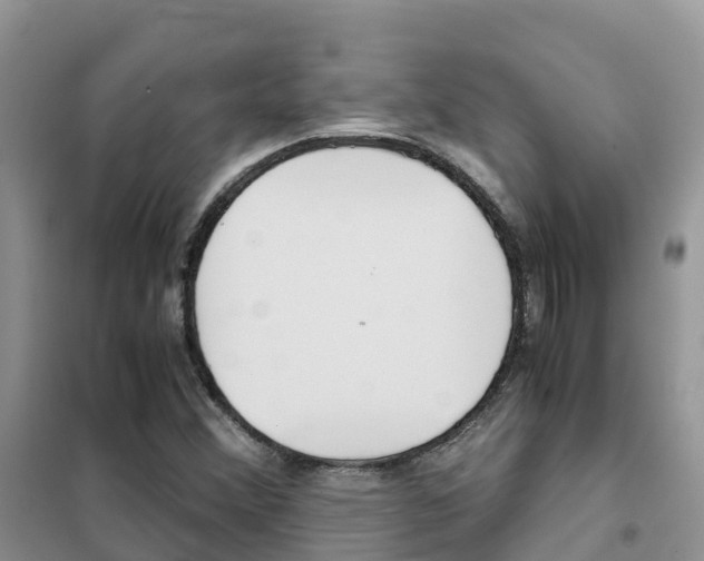 X0000102371356200808011014