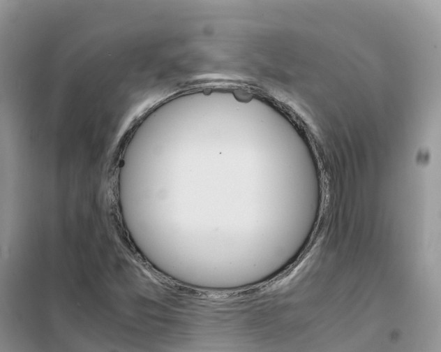 X0000102371357200808011014