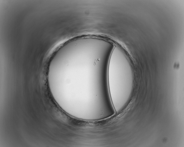 X0000102371359200808011014