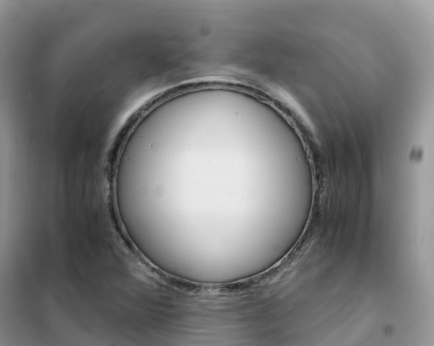X0000102371360200808011014