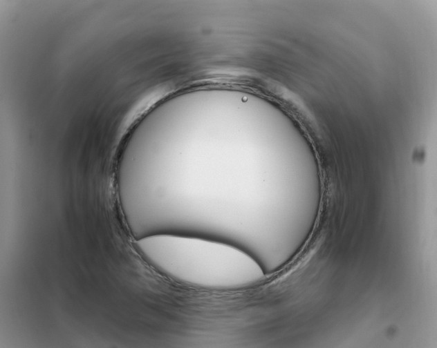 X0000102371362200808011013