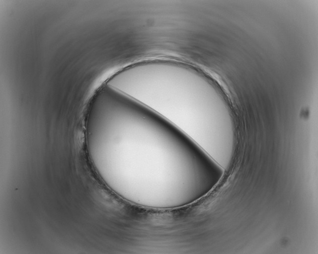 X0000102371363200808011013