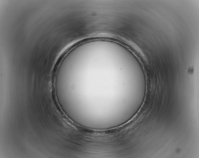 X0000102371364200808011013