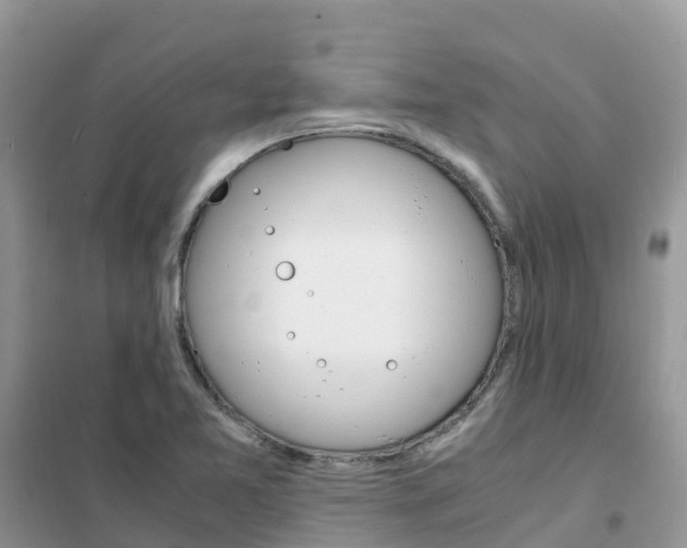 X0000102371365200808011013