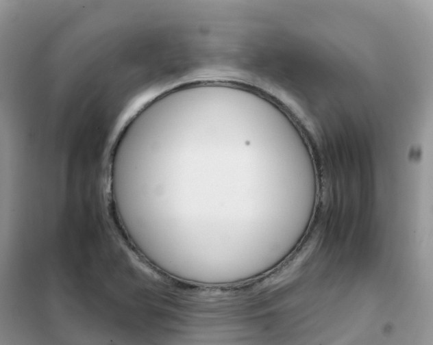 X0000102371366200808011013
