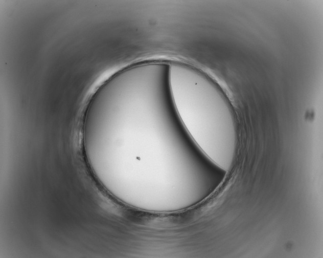 X0000102371367200808011013