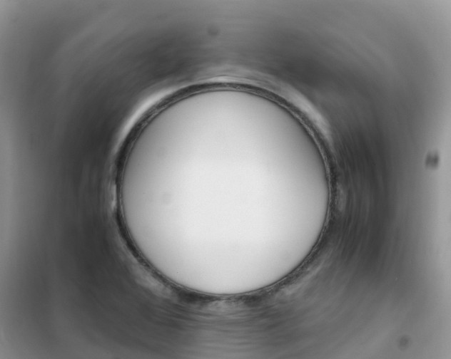 X0000102371368200808011013