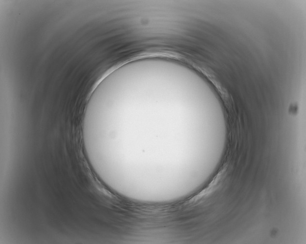 X0000102371369200808011013